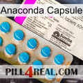 Anaconda Capsule new07